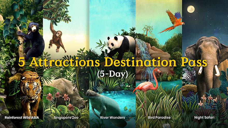 5 Attractions Destination Pass (5-Day)